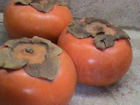 how to harvest fuyu persimmons