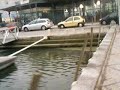 A praca do Peixe