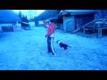 videos de Trico 2008