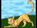 Graypaw and Sandpaw Auditions for FLProductions95