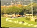 1990 (474) Pr.EXCMO.AYTO. DE MADRID (H.) (1.ª C.) (QUINTELA)