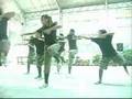 TIPIANS - BA11FB1