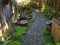 Small Fern and Stream Garden
