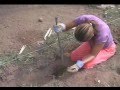 videos de Cambodia