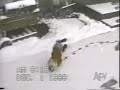 ah ces animaux ah ces animaux