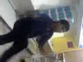 Kanadasan karaikodi(dance master bai khan tesCo)