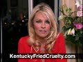 kentucky fried chicken - chicken abuse by pamela anderson
