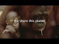 Share Our World - Music by Jennie Muskett