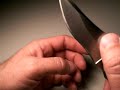 Blade-Tech MLEK Lite knife: 
