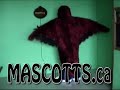 Ecole Boreale Falcon Mascott Ecole Boreale Falcon Mascott