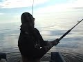 Alaska Halibut, Homer AK With Capt Lance Alaska Halibut, Homer AK With Capt Lance