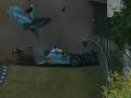 Le Mans 24 hours 2006 crash Le Mans 24 hours 2006 crash