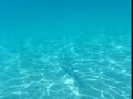 Half Moon Cay, Bahamas, Snorkeling 2008