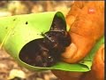 la ruta de amazonía tvn chile  capítulo 3  parte3