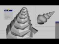 Wings 3D - Building a Sea Shell - Part 1