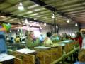2009 NALRC Lionhead Auction - Setzke's Silverado
