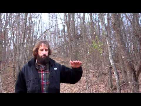 how to avoid lightning