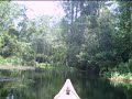 Kayaking the Wacissa River