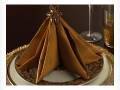 Fold a Tree Napkin