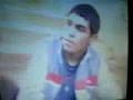 videos de pez seba y pelon