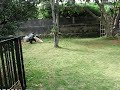 ryuta ryuta