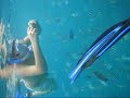 Siren goes on Vacation