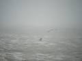 Surfing Rochester NY style