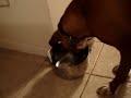 What is that in my water?
