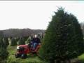 videos de Tree hunt part 13