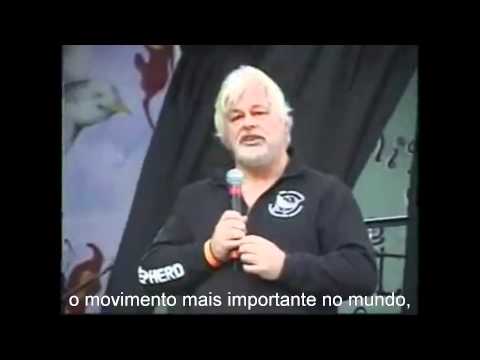 Imagem de Amostra do You Tube