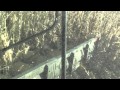 lexion 750 in cab combining corn with a 16 row drago corn head at 7 mph