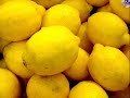 Fools Garden - Lemon Tree Fools Garden - Lemon Tree