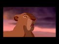 Rey Leon 1 h