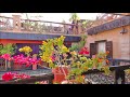RIAD MARRAKECH Nomades