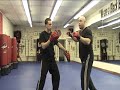 The Choy Lay Fut Project: #4 - Gok Choih