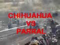 EL WILLY VS EL TARTANERO 7 DE ENERO 2007