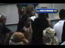 EXCLUSIVE: Halle Berry Goes To The Hollywood Bowl