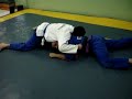 Brazilian Jiu-Jitsu - saindo do 100 kg  1