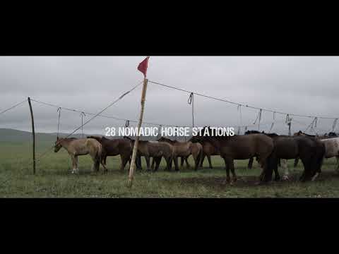 Still of All the Wild Horses