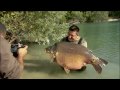 Danny Fairbrass ca...