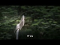 Click here to watch this video טעות בכיוון 4: ההתחלה 2011 טריילר מתורגם [HD] לצפייה ישירה