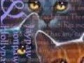 Jaypaw~Tell me something i don't know