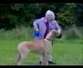 Granny and dog ! (Swnd Bouillard) lol Elliot (Big Elliot)