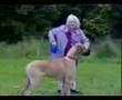 Granny and dog ! (Swnd Bouillard) lol Elliot (Big Elliot)