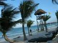 Mexico Vacation - Grand Palladium Kantenah