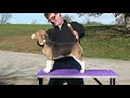 Violet - Puppy Film 1