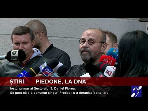Piedone, la DNA