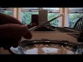 welded loop welded loop