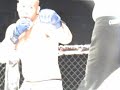 Rogent_octogon_semis