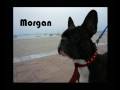 morgan freeman